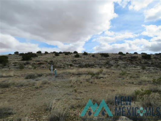 LOT 1 CHAMPAGNE HILLS ROAD, ELEPHANT BUTTE, NM 87935, photo 2 of 21