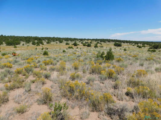 LOT 12 PINION TRAILS, PIE TOWN, NM 87827, photo 3 of 26