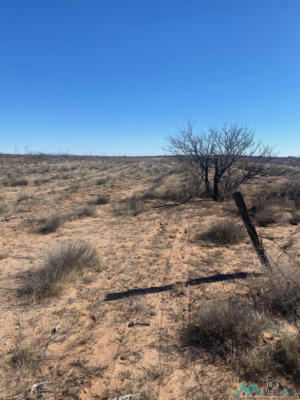 00000 TEWAS DRIVE, DEMING, NM 88030, photo 3 of 9