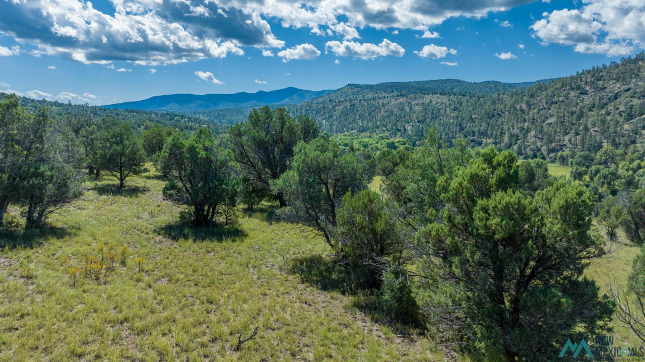 LOT 4A HIGHWAY 15 & 35 ROAD, LAKE ROBERTS, NM 88041, photo 1 of 10