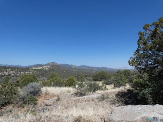 25 FOREST 858 ROAD, SILVER CITY, NM 88061, photo 5 of 37
