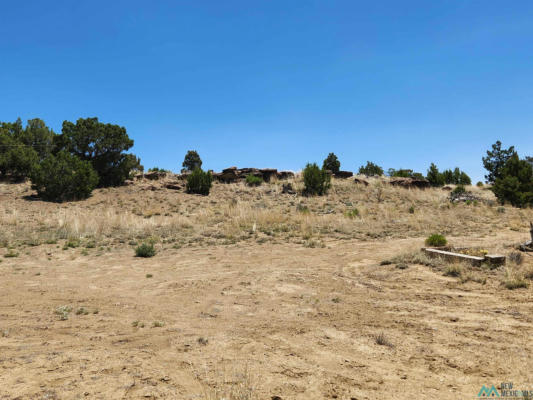 86 PONDEROSA RANCHES PATH, PIE TOWN, NM 87827, photo 4 of 25