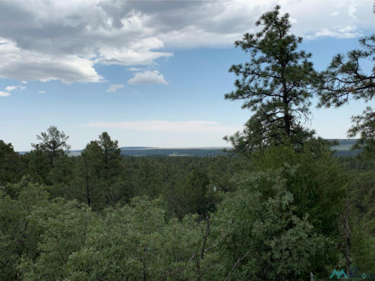 LOT N LA RAMA ROAD CR013, GOLONDRINAS, NM 87712, photo 2 of 4