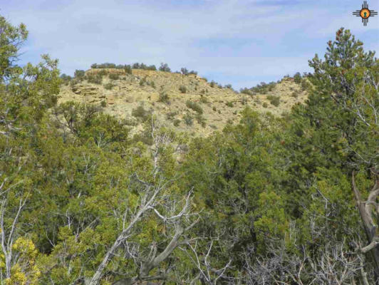 0000 1 GOAT RANCH ROAD, PIE TOWN, NM 87827, photo 3 of 19