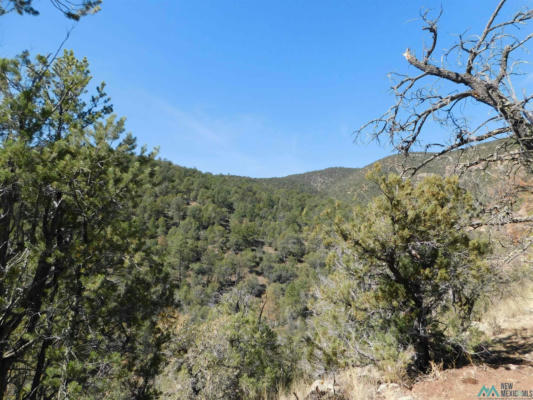 LOT 18 RIVERS WEST ROAD, RESERVE, NM 87830, photo 4 of 15