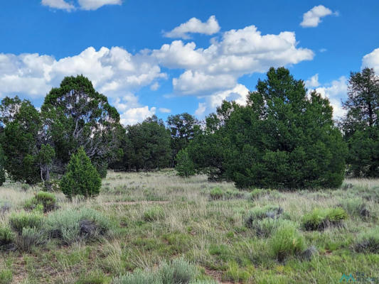 13 JOHNSTON DRIVE, PIE TOWN, NM 87827, photo 2 of 19