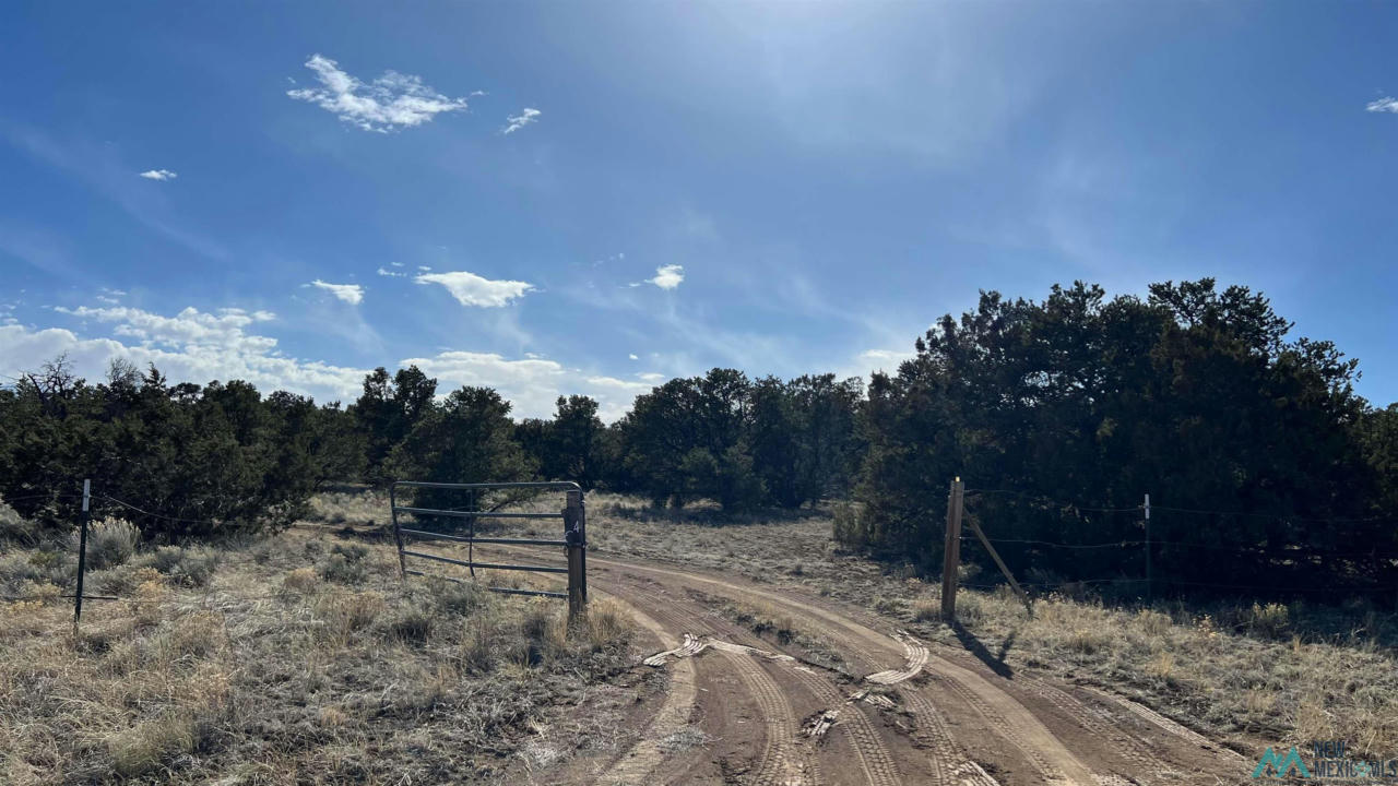 34 DREAMCATCHER DR, FENCE LAKE, NM 87315, photo 1 of 25