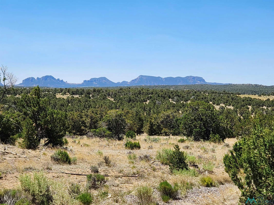 86 PONDEROSA RANCHES PATH, PIE TOWN, NM 87827, photo 1 of 25