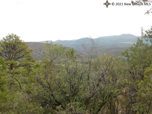 LOT 27 & 28 W RIVERS ROAD, RESERVE, NM 87830, photo 4 of 18