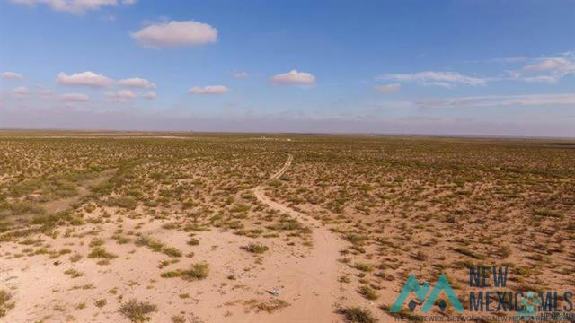 TBD CO 604 ROAD, CARLSBAD, NM 88220, photo 2 of 4