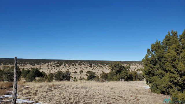 INDIAN MAIDEN COURT, QUEMADO NM 87829, QUEMADO, NM 87829, photo 3 of 12