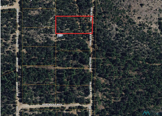 LOT 9 TRAILER ROAD, TIMBERON, NM 88350 - Image 1