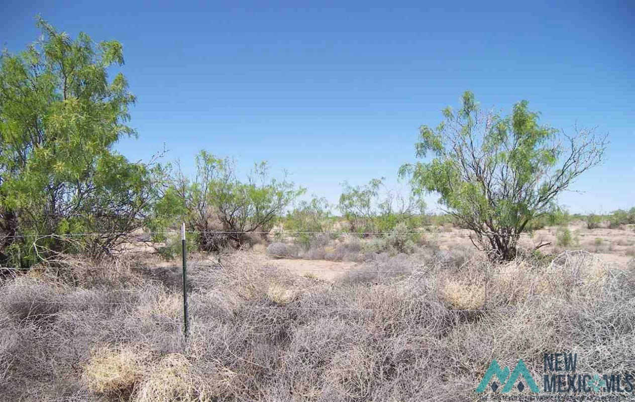 INDIAN WELLS LOT 2, DEMING NM 88030, DEMING, NM 88030, photo 1 of 11