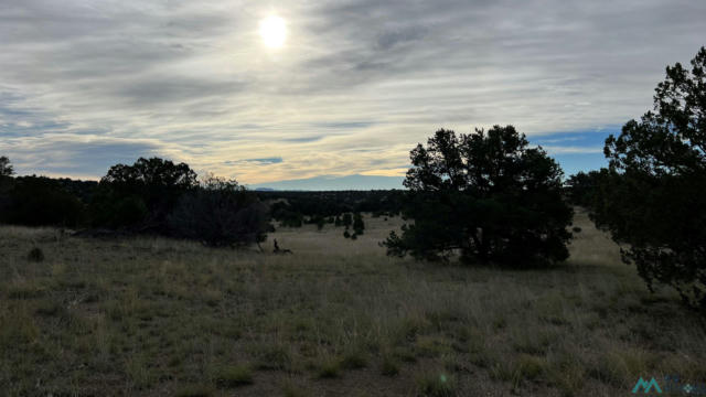 HORSESHOE CIRCLE, QUEMADO NM 87829, QUEMADO, NM 87829, photo 5 of 15