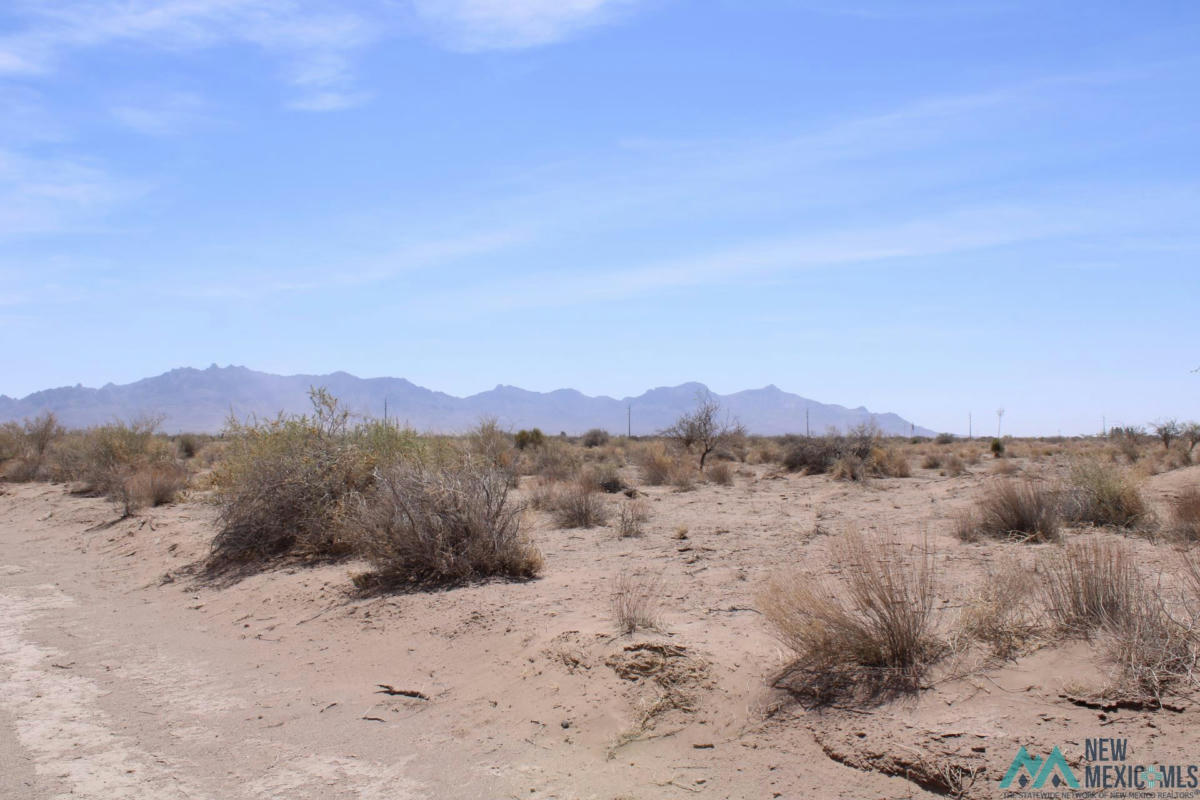 YUCCA RD SW, DEMING NM 88030, DEMING, NM 88030, photo 1 of 11