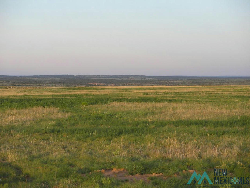 300+/-AC TRACT 3 38 MILES NORTH OF ROY, NM, ROY, NM 87743, photo 1