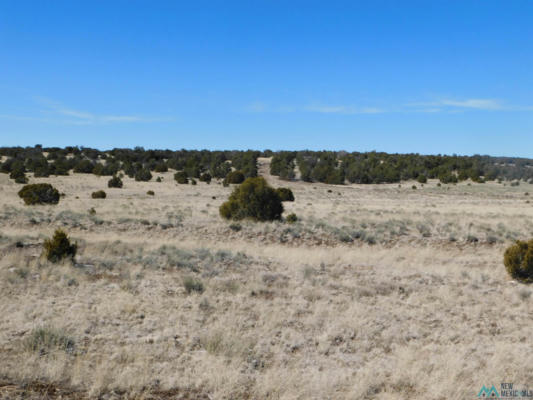 67 BRONCO BLVD, QUEMADO, NM 87829, photo 2 of 9