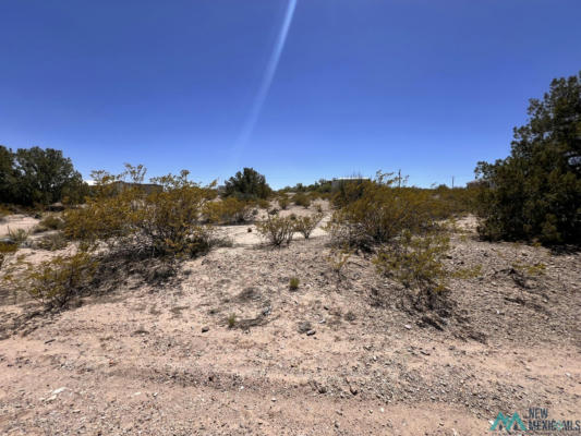 0000 TBD PINTO TRAIL TRAIL, ELEPHANT BUTTE, NM 87935, photo 3 of 8