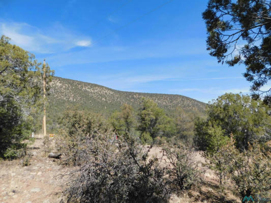 LOT 18 RIVERS WEST ROAD, RESERVE, NM 87830, photo 2 of 15