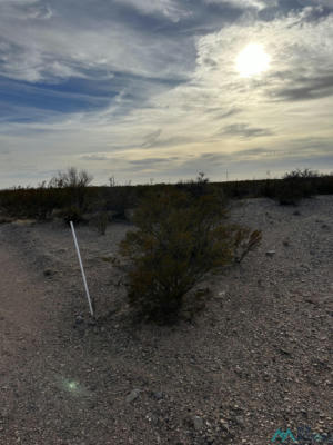 XXXX ROADRUNNER LANE LOT 8, COLUMBUS, NM 88029 - Image 1