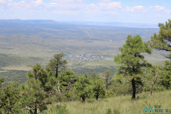 MAGDALENA MT MAGDALENA MOUNTAIN TOP, MAGDALENA, NM 87825, photo 2 of 12