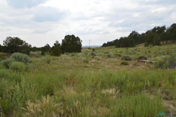 TBD CANDY KITCHEN ROAD, CANDY KITCHEN, NM 87321 - Image 1