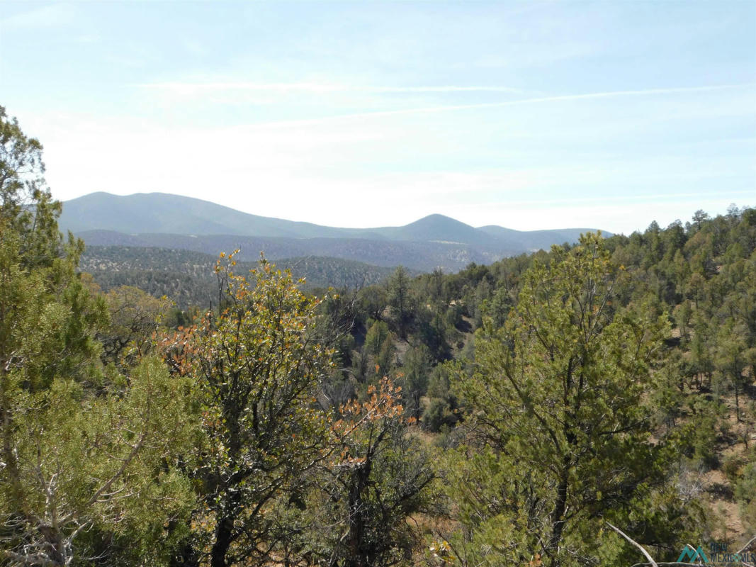 LOT 18 RIVERS WEST ROAD, RESERVE, NM 87830, photo 1 of 15