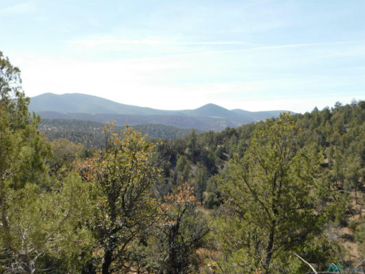LOT 18 RIVERS WEST ROAD, RESERVE, NM 87830 - Image 1