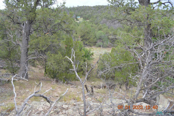 157 FOREST ROAD, RAMAH, NM 87321, photo 3 of 38