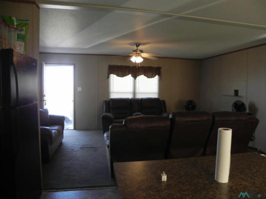 507 RIVER RANCHES PL, FORT SUMNER, NM 88119, photo 3 of 11