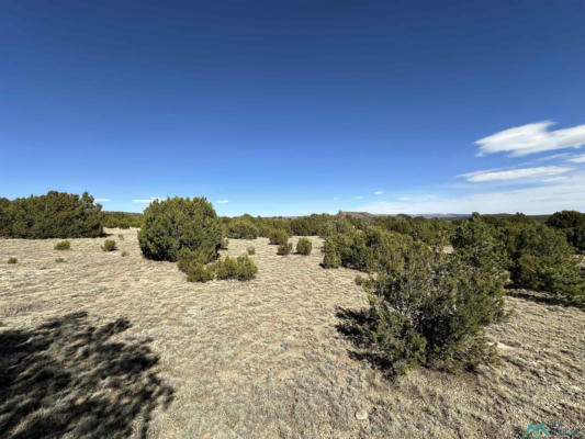 5.045 ACRES FRONTAGE ROAD 2116 ROAD, SERAFINA, NM 87569, photo 5 of 8