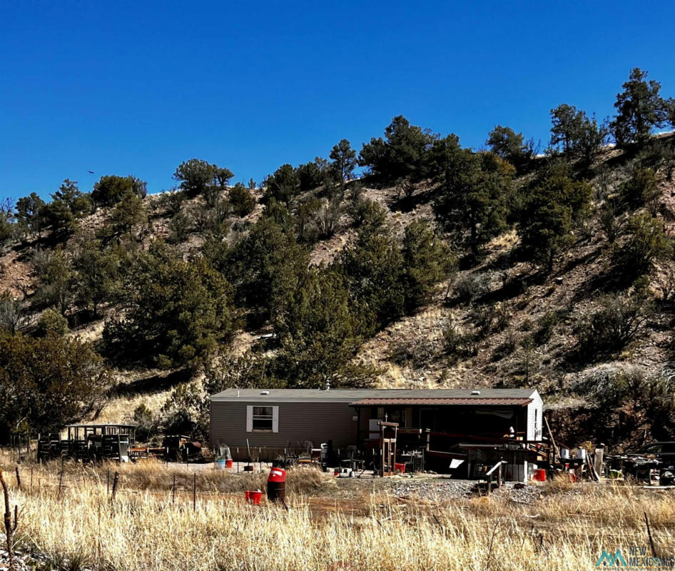 8 CHLORIDE FITH ST, CHLORIDE, NM 87943, photo 1 of 35