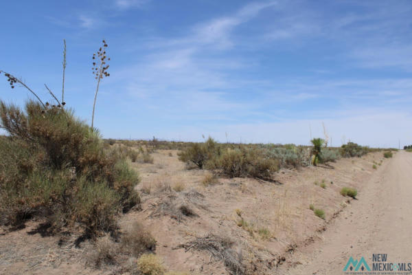 BONITO RD SW, DEMING NM 88030, DEMING, NM 88030, photo 3 of 8