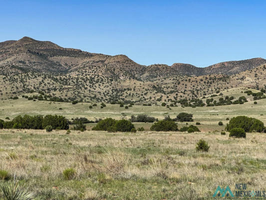 TBD WILSON ROAD, MIMBRES, NM 88049 - Image 1