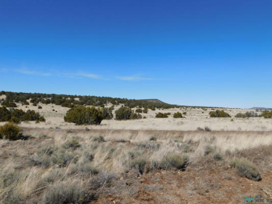 67 BRONCO BLVD, QUEMADO, NM 87829, photo 3 of 9