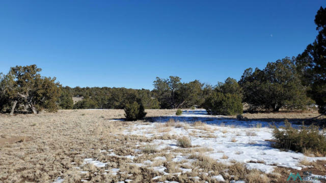 INDIAN MAIDEN COURT, QUEMADO NM 87829, QUEMADO, NM 87829, photo 2 of 12