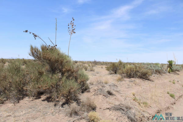 BONITO RD SW, DEMING NM 88030, DEMING, NM 88030, photo 2 of 8