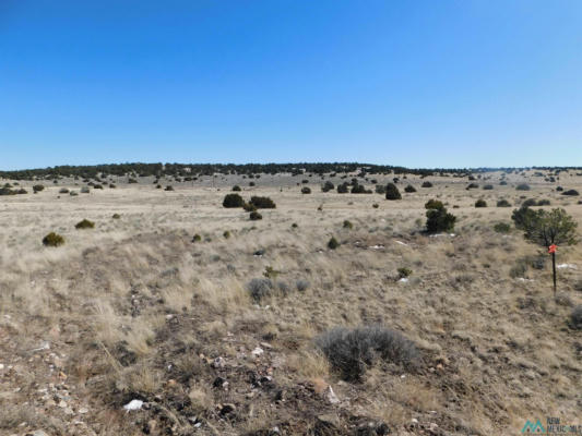 67 BRONCO BLVD, QUEMADO, NM 87829, photo 5 of 9