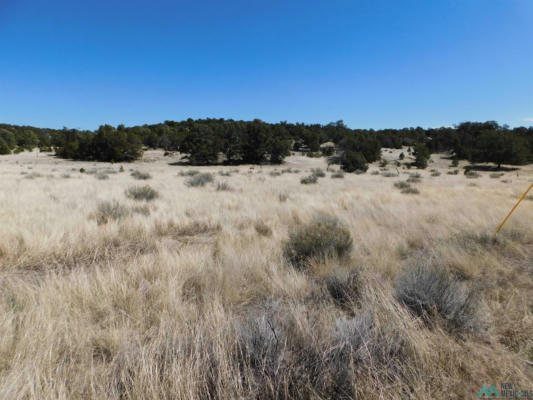 LOT 171 HOPI DRIVE, QUEMADO, NM 87829, photo 5 of 18