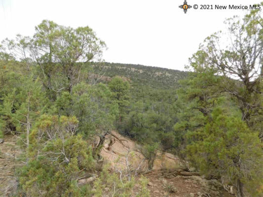 LOT 27 & 28 W RIVERS ROAD, RESERVE, NM 87830, photo 3 of 18
