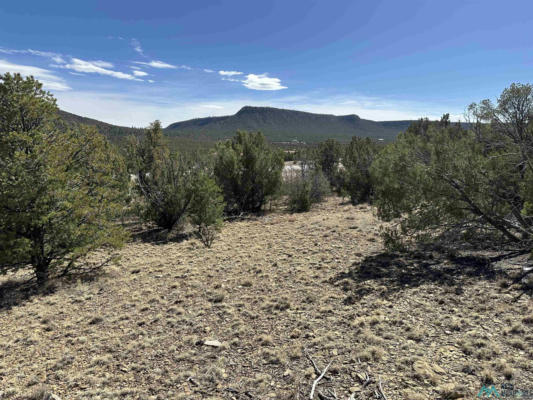 5.045 ACRES FRONTAGE ROAD 2116 ROAD, SERAFINA, NM 87569, photo 3 of 8
