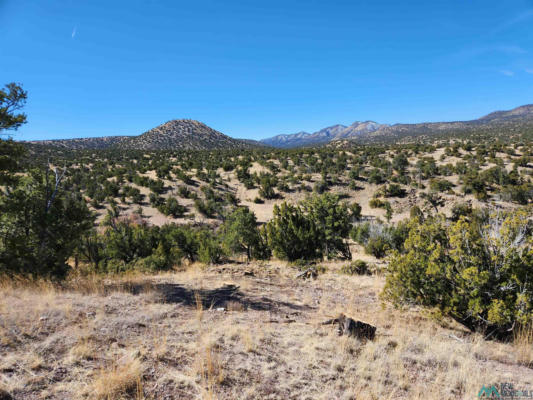 0000 TBD NM 169 STATE ROAD, MAGDALENA, NM 87825, photo 4 of 16