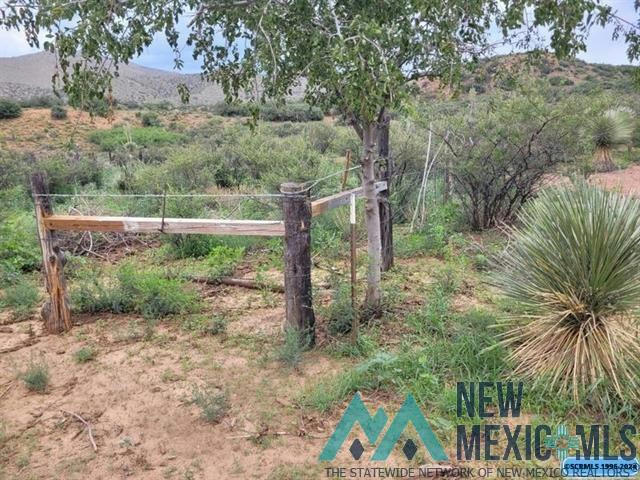 XX BURRO SPRINGS ROAD, SILVER CITY, NM 88061, photo 1 of 13