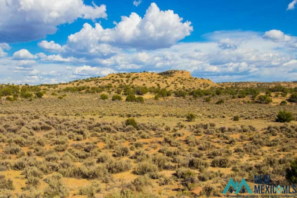 TBD PURTY ROCK ROAD, GALLUP, NM 87305 - Image 1