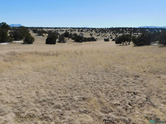 69 BRONCO BLVD, QUEMADO, NM 87829, photo 5 of 18