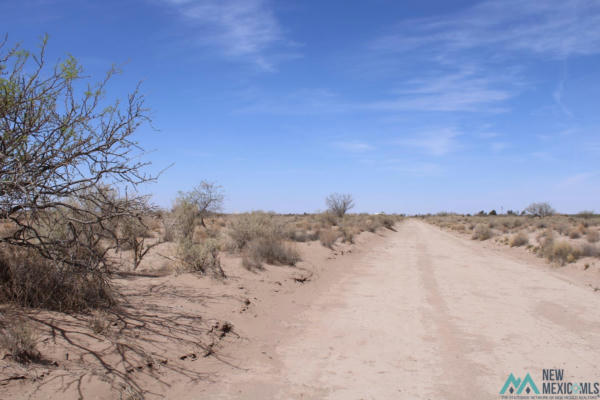 YUCCA RD SW, DEMING NM 88030, DEMING, NM 88030, photo 5 of 11