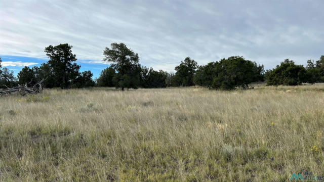 HORSESHOE CIRCLE, QUEMADO NM 87829, QUEMADO, NM 87829, photo 3 of 15