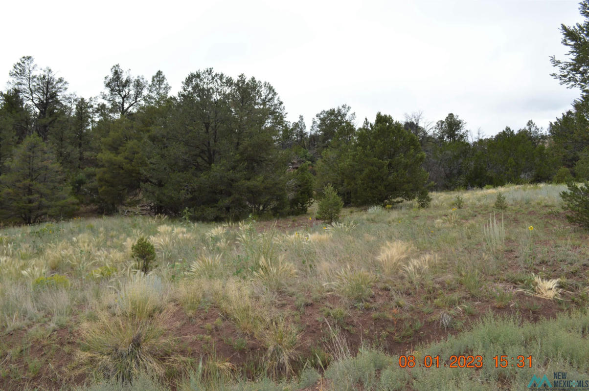 157 FOREST ROAD, RAMAH, NM 87321, photo 1 of 38