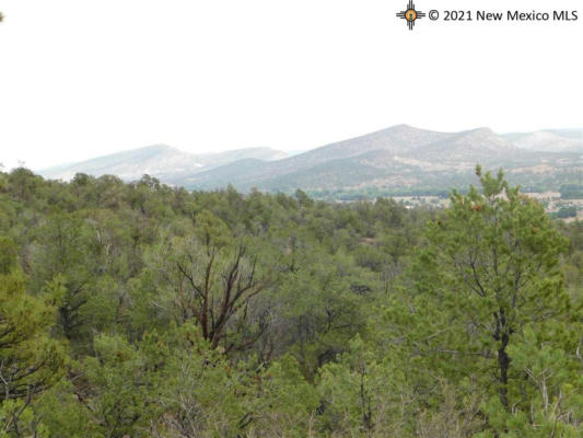 LOT 27 & 28 W RIVERS ROAD, RESERVE, NM 87830, photo 5 of 18