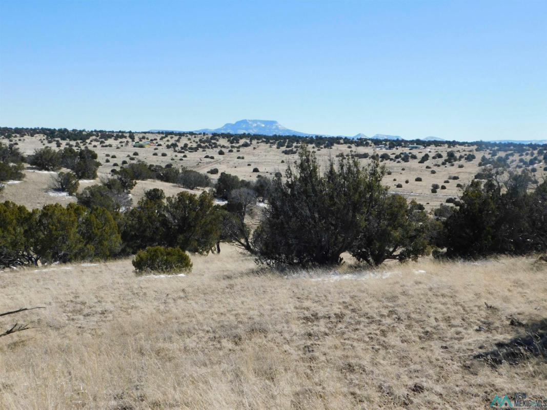 69 BRONCO BLVD, QUEMADO, NM 87829, photo 1 of 18